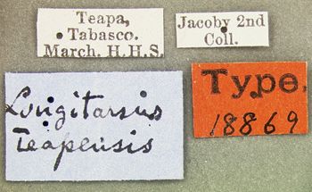 Media type: image; Entomology 18869   Aspect: labels